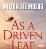 As a Driven Leaf