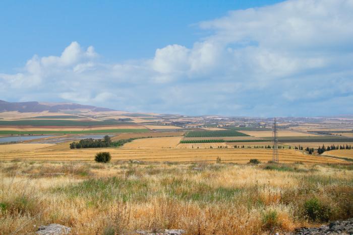 Mount Gilboa