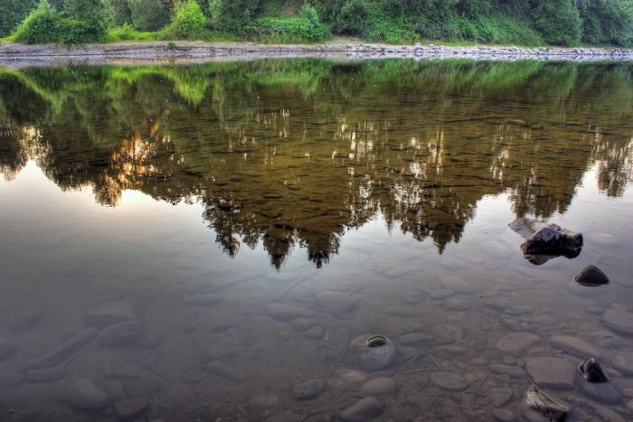 reflection in a river