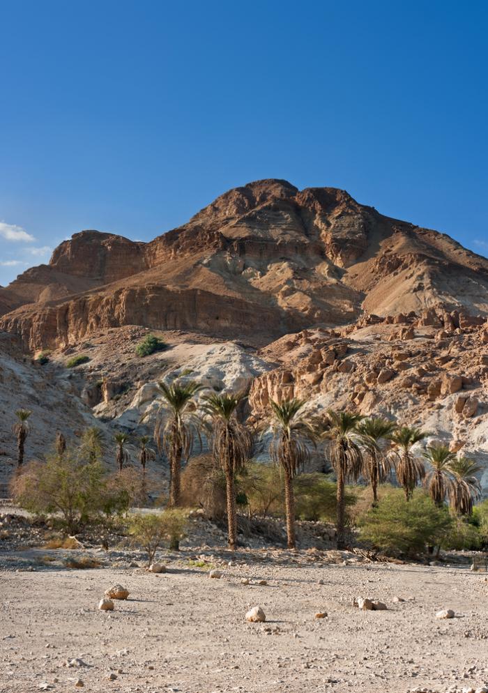 Mountain in Ein Gedi